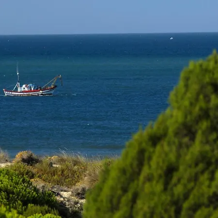 Leo (adults Only) Punta Umbria